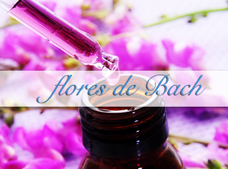 Flores de Bach